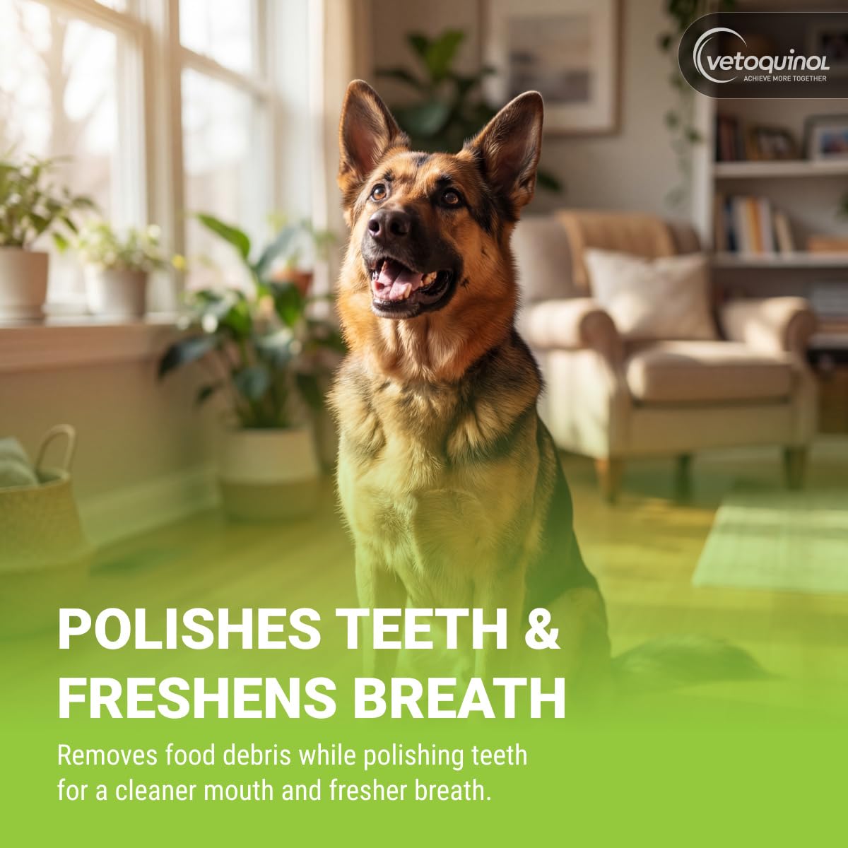 Enzymatic Toothpaste Kit + Fingerbrush, Poultry Flavor M862