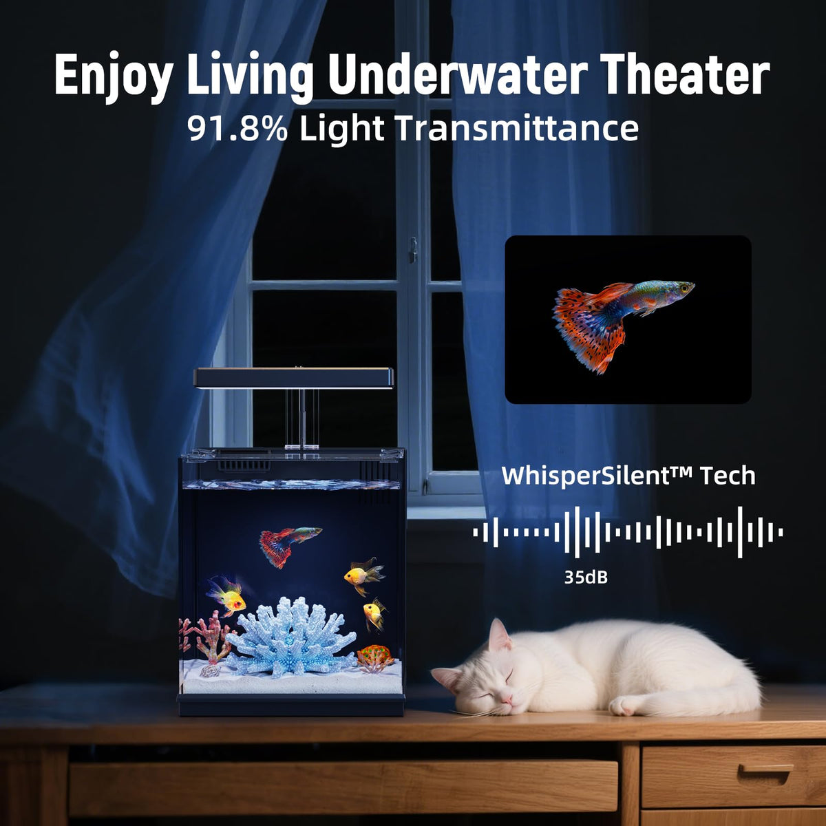 2 Gallon Betta Fish Tank with Filter & Light H507
