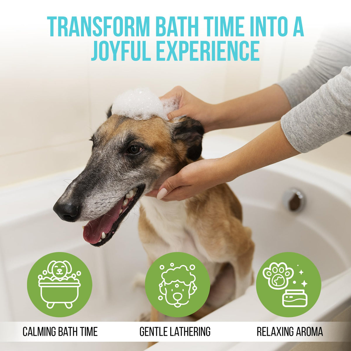 Hypoallergenic Dog Shampoo with Aloe & Oatmeal 16.9 oz J954