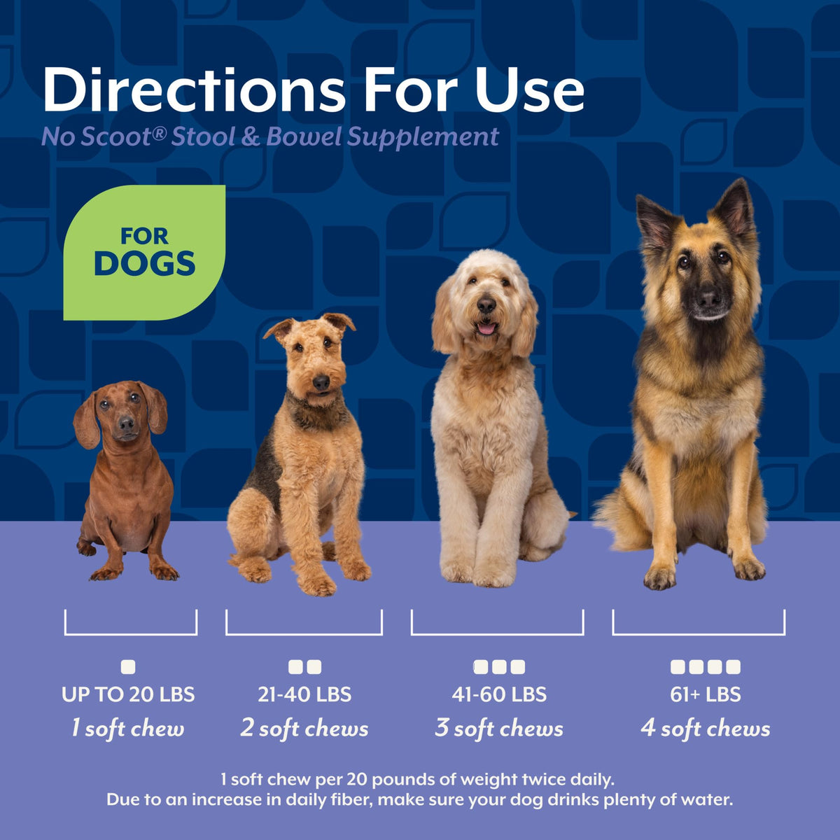 Dog Stool and Bowel Supplement 60 Soft Chews J1879