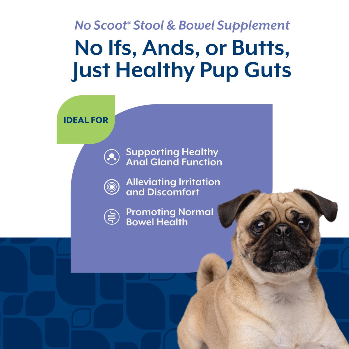 Dog Stool and Bowel Supplement 60 Soft Chews J1879