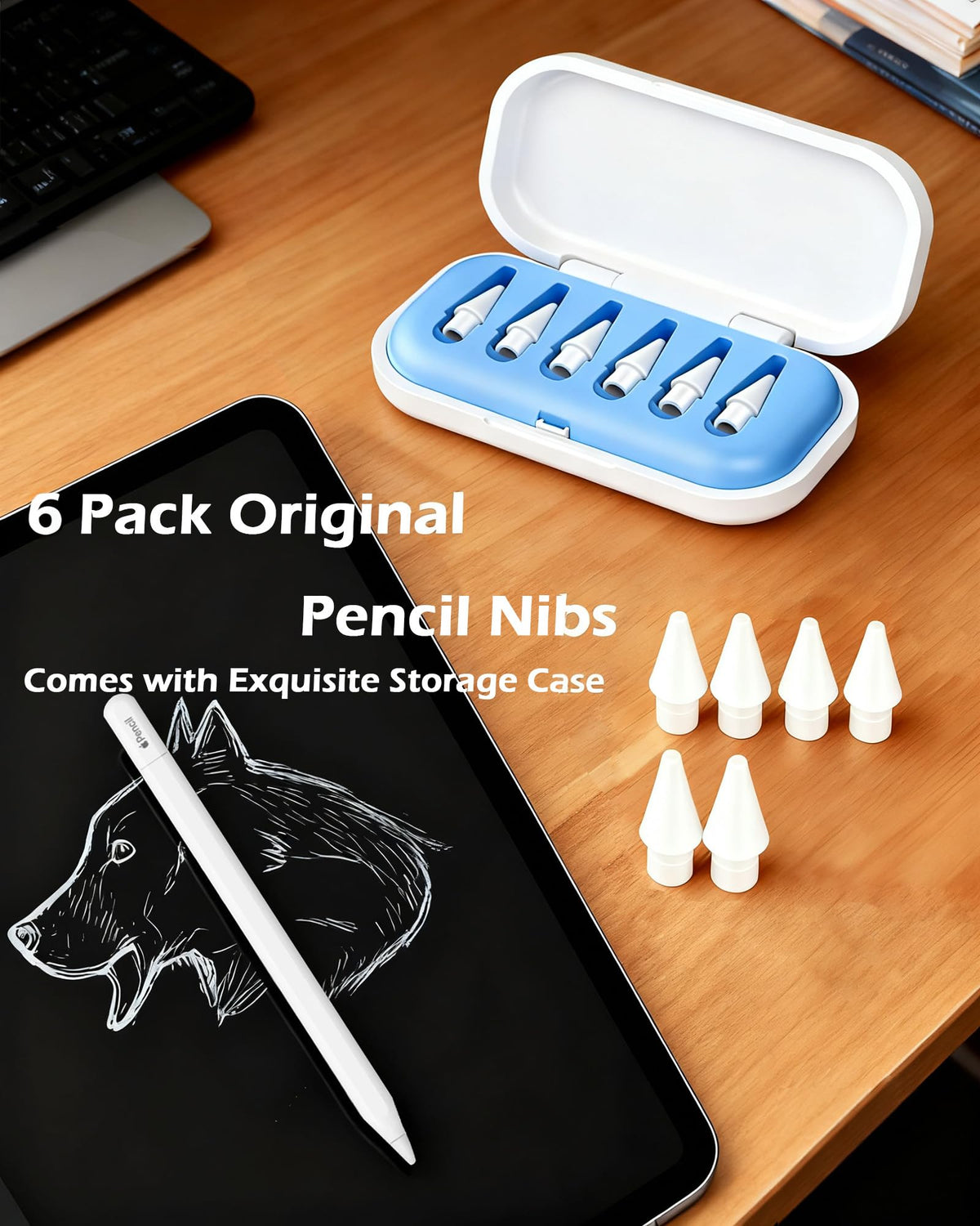 6 Pack Replacement Pencil Tips with Case Y55147