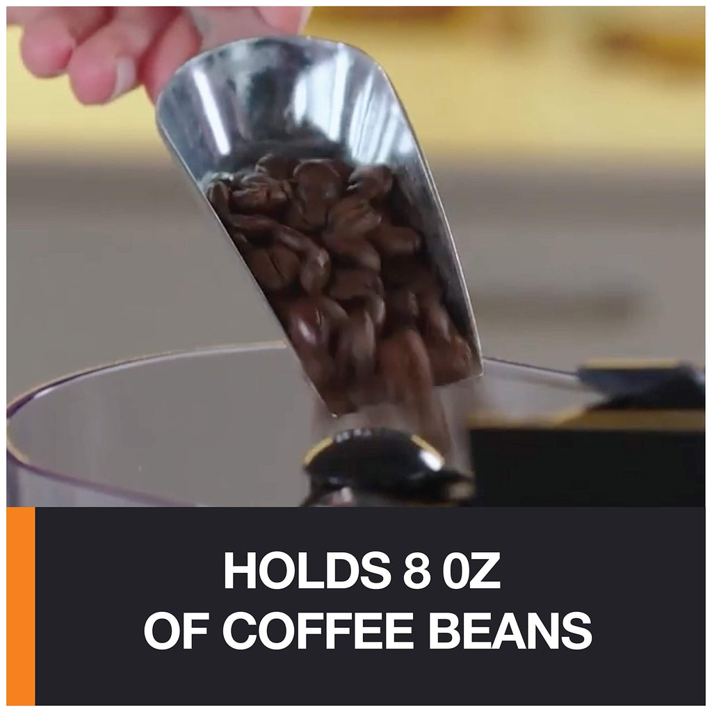 Burr Coffee Grinder 12 Settings 8 oz Stainless Steel I1561