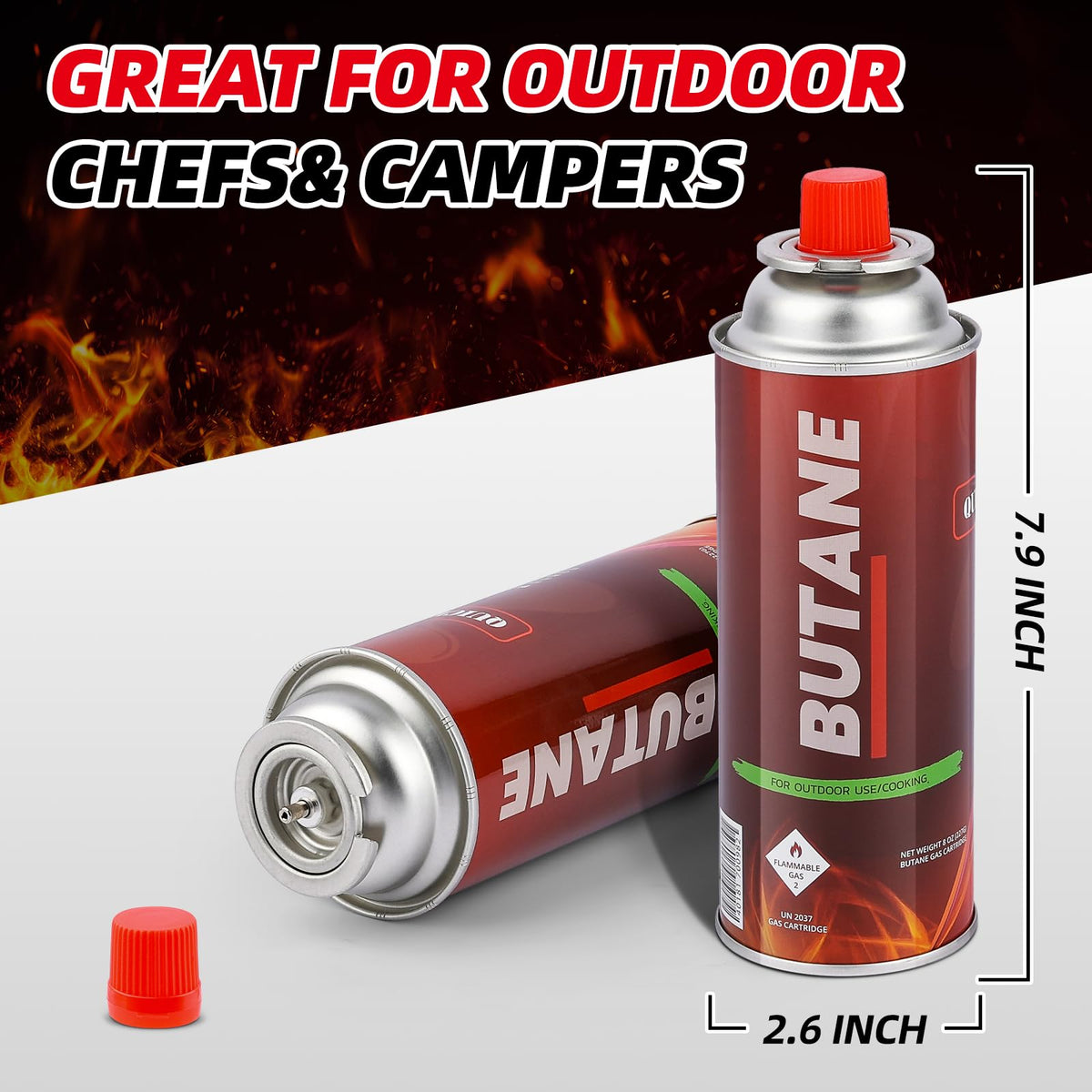 Butane Fuel Cylinders (4) G116