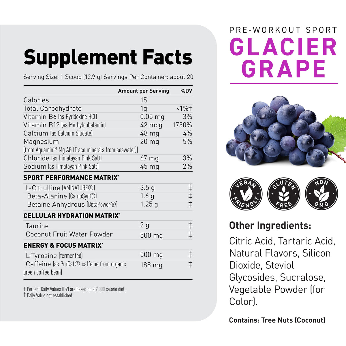 Pre Workout Powder 20 Servings G70607