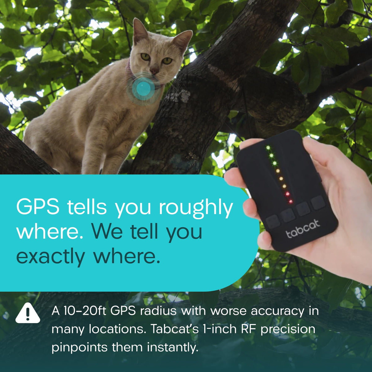 Cat & Kitten Tracker with 4 Homing Tags P5029