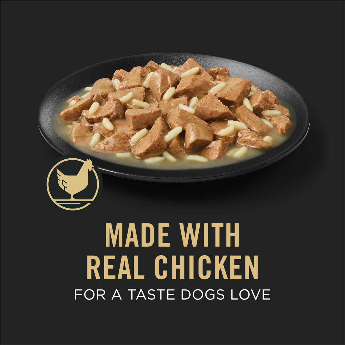 Chicken Gravy Wet Dog Food 13 oz T835