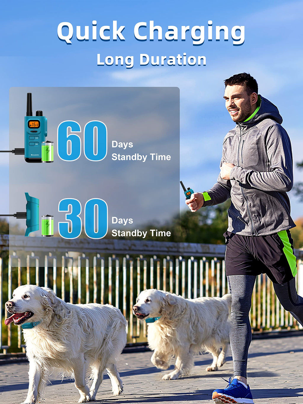 Waterproof Rechargeable Dog Training Collar with Remote C465