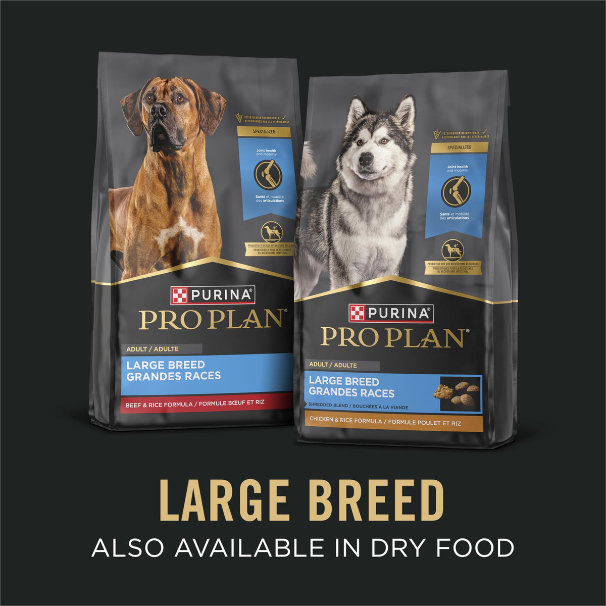 Chicken Gravy Wet Dog Food 13 oz T835