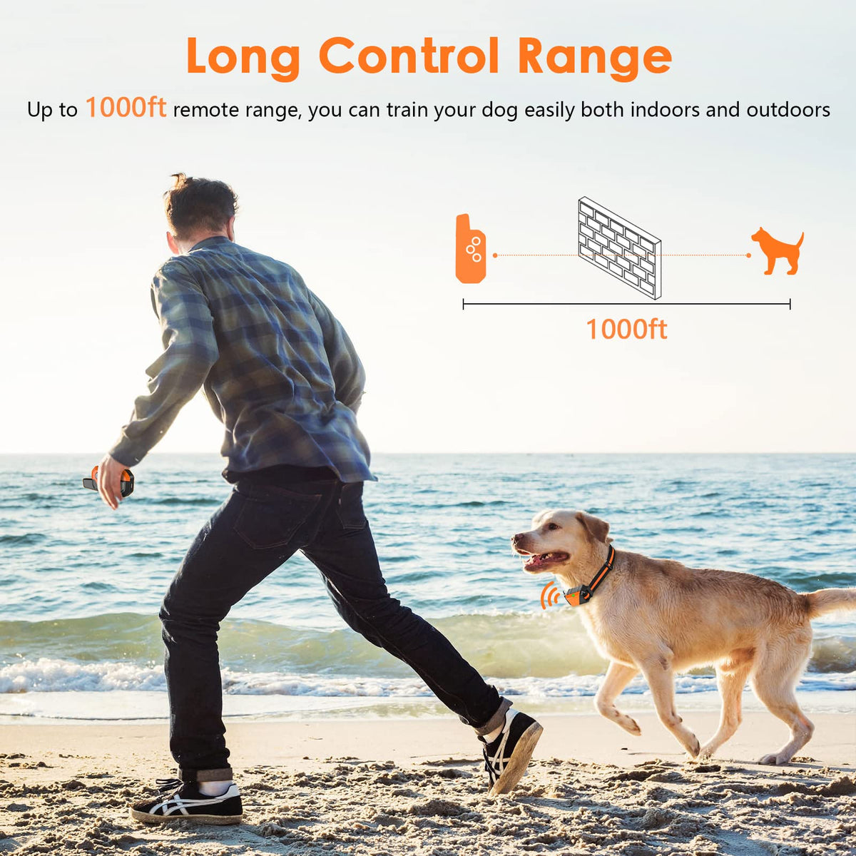 Dog Training Collar with Remote, 3 Modes Y164