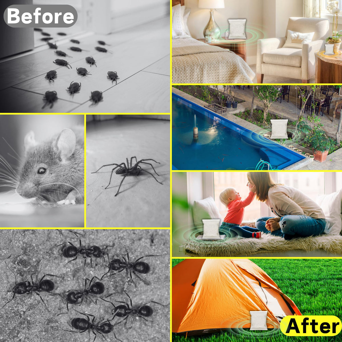 Natural Indoor Spider Repellent U103