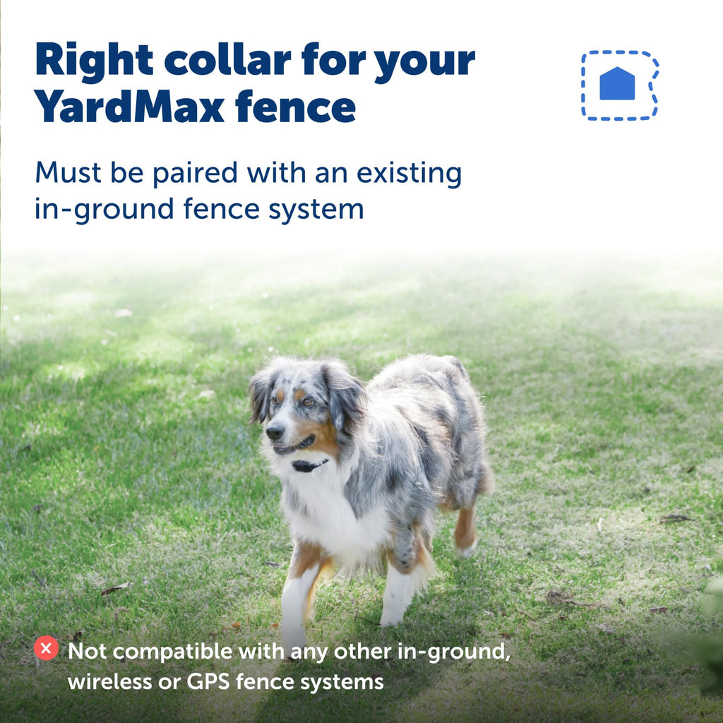 Rechargeable In-Ground Fence Collar W458724