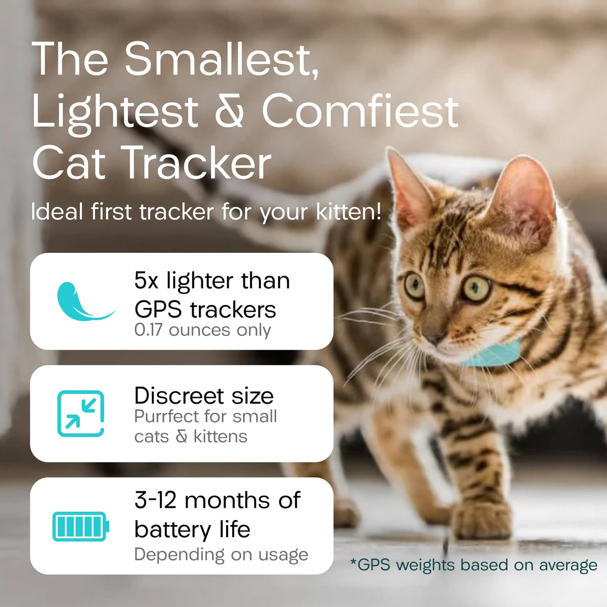 Cat & Kitten Tracker with 4 Homing Tags P5029