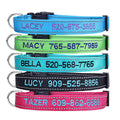 Personalized Dog Collar, 4 Adjustable Sizes Quick Release Buckle and D-Ring F882521