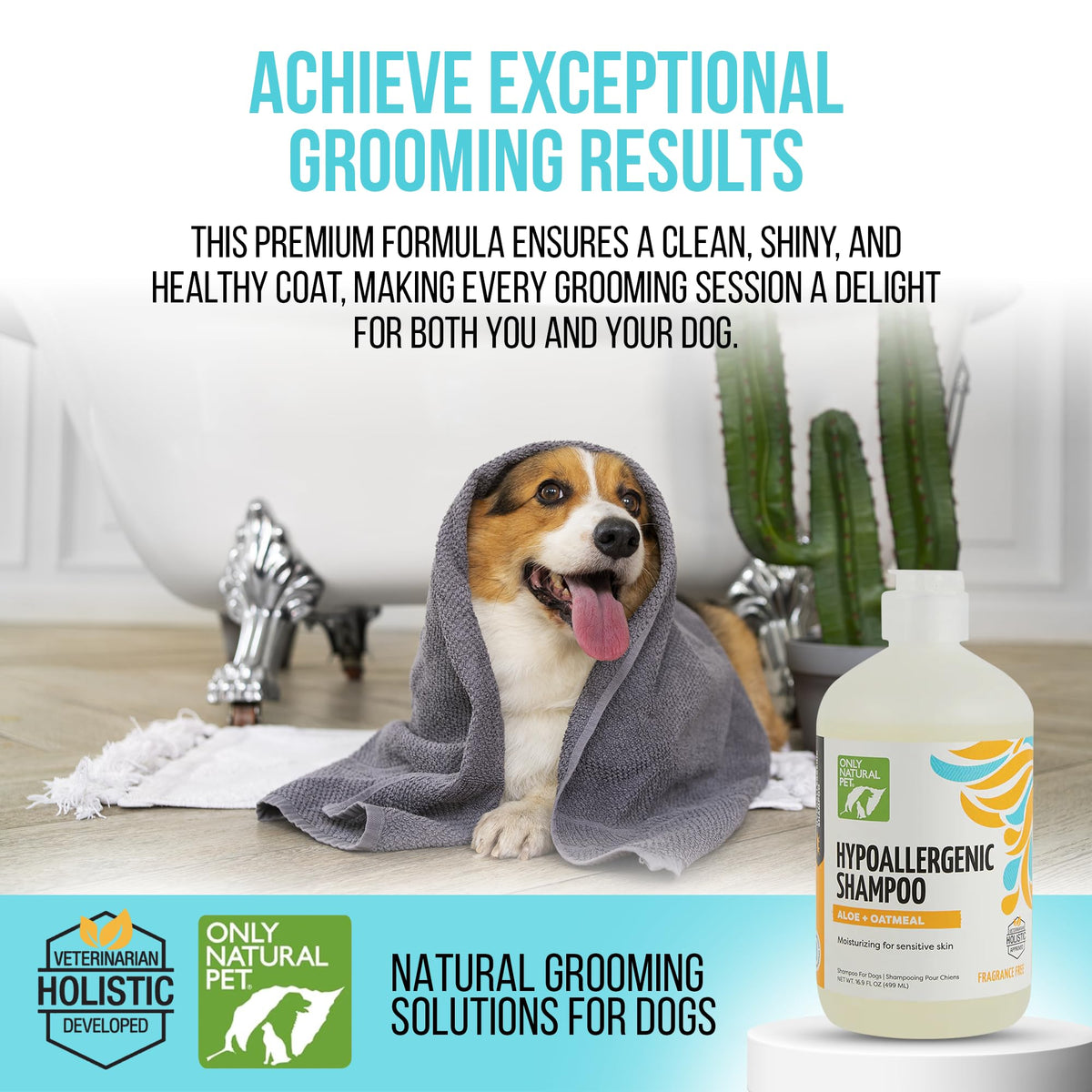 Hypoallergenic Dog Shampoo with Aloe & Oatmeal 16.9 oz J954