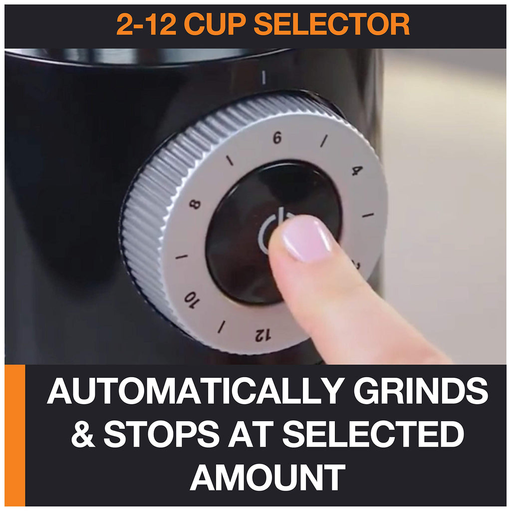 Burr Coffee Grinder 12 Settings 8 oz Stainless Steel I1561
