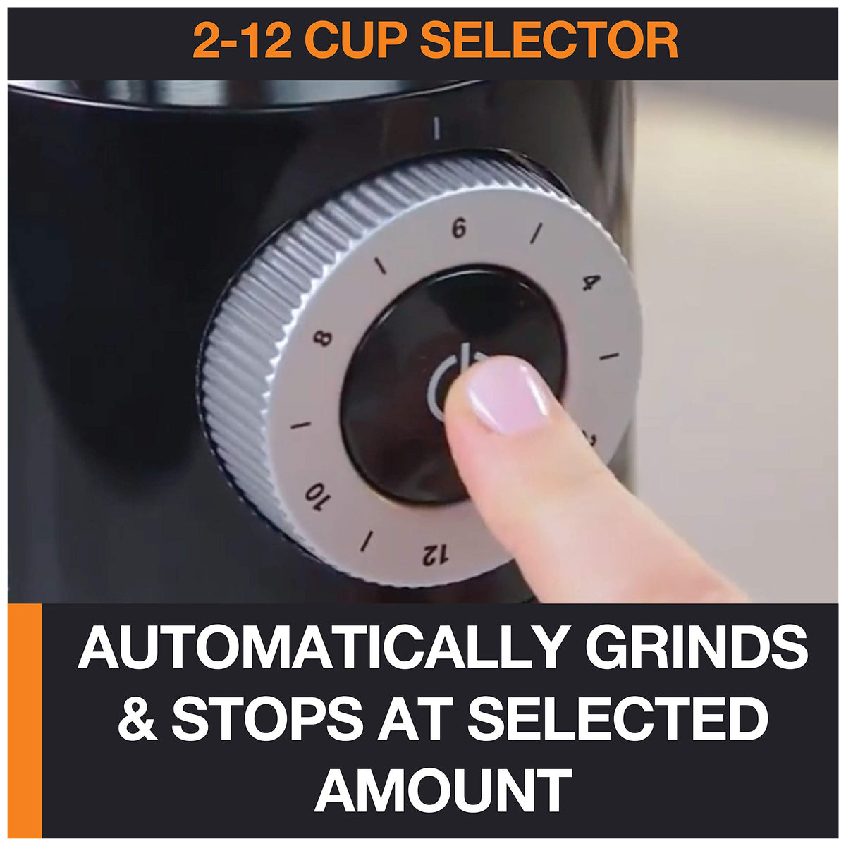 Burr Coffee Grinder 12 Settings 8 oz Stainless Steel I1561