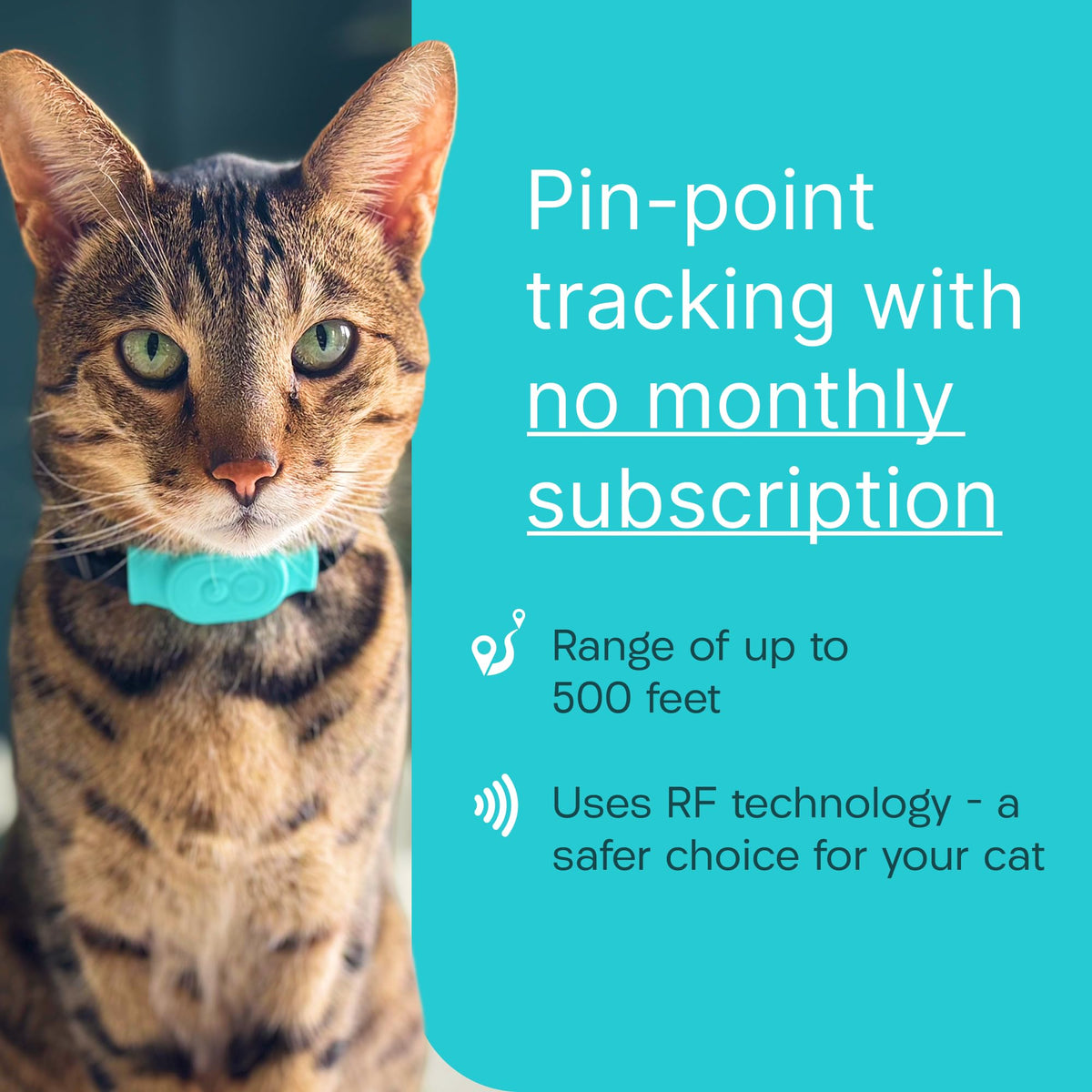 Cat & Kitten Tracker with 4 Homing Tags P5029