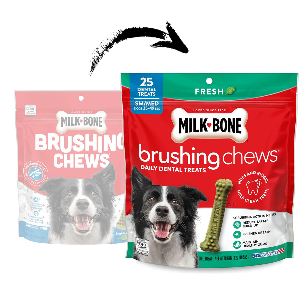 Fresh Flavor 25 Dental Treats Y4652