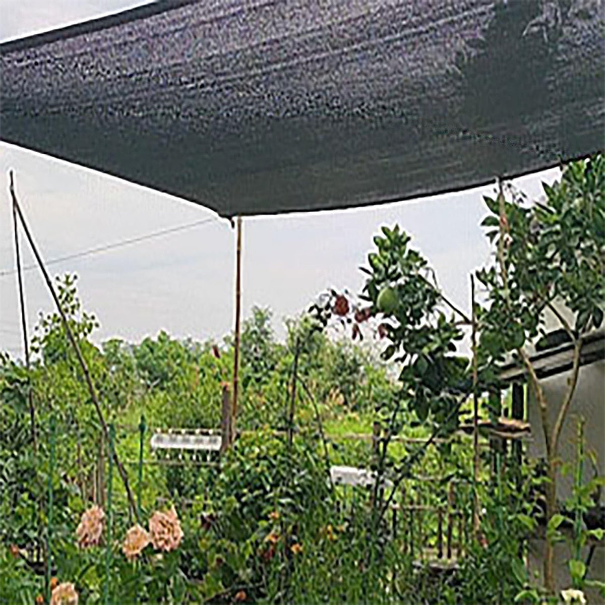 90% UV Resistant Black Shade Cloth with Grommets 5x9m A8541