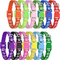 12 Pack Adjustable Puppy Collars I695672