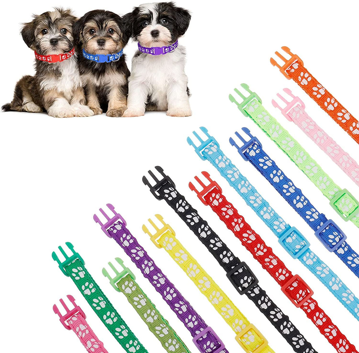 12 Pack Adjustable Puppy Collars I695672