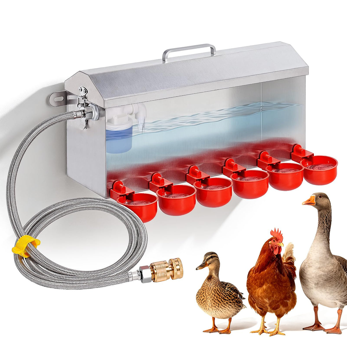 1.5 Gallon Metal Automatic Chicken Waterer E98498