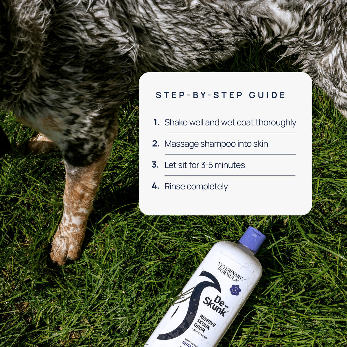 Dog Shampoo 32oz O9246