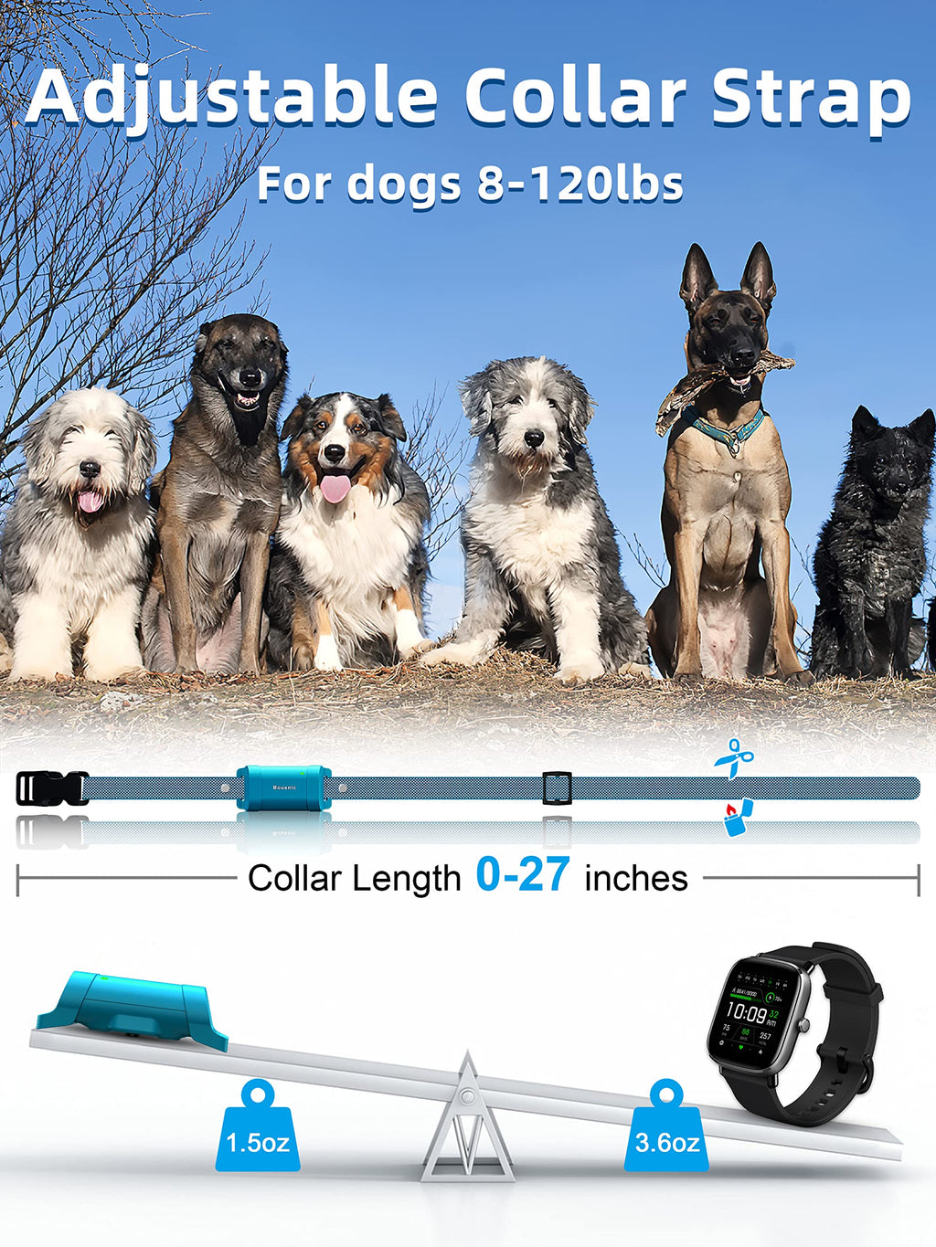 Waterproof Rechargeable Dog Training Collar with Remote C465