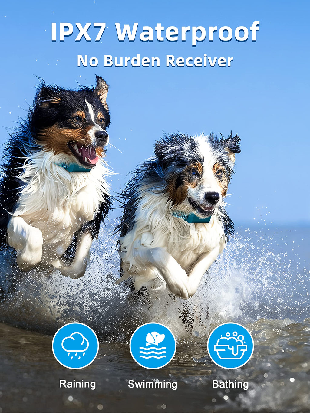 Waterproof Rechargeable Dog Training Collar with Remote C465