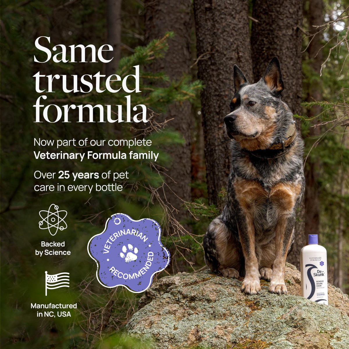 Dog Shampoo 32oz O9246