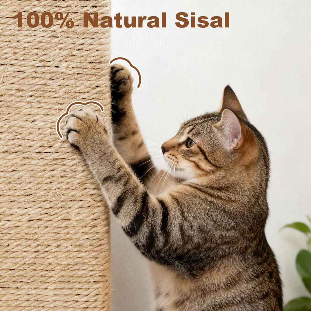 Tall Cat Scratching Post with Carpet B89498