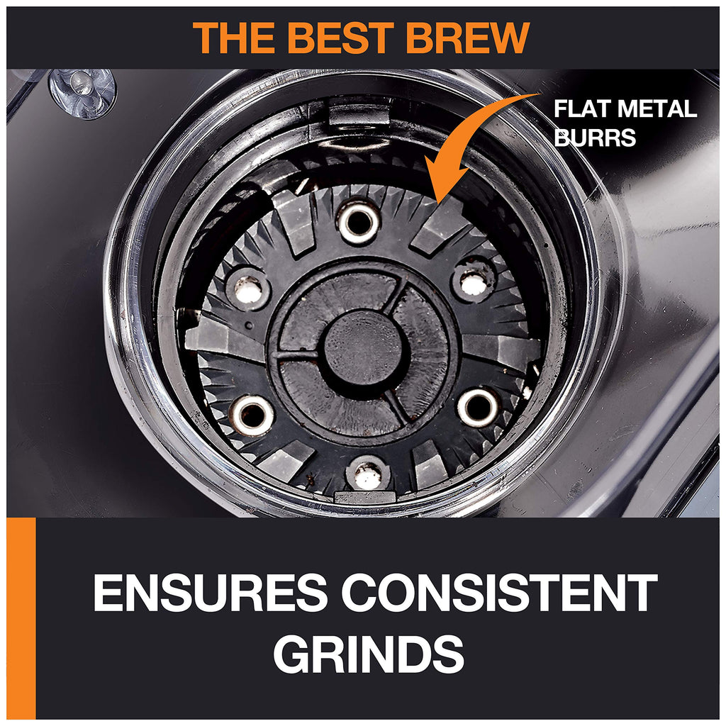 Burr Coffee Grinder 12 Settings 8 oz Stainless Steel I1561